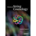 Elements of String Cosmology - Paperback