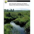 New Hampshire Wetlands and Waters: Results of the National Wetlands Inventory - Paperback