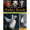 Storey's Illustrated Guide to Poultry Breeds: Chickens, Ducks, Geese, Turkeys, Emus, Guinea Fowl, Ostriches, Partridges, Peafowl, Pheasants, Quails, S - Paperback