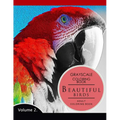 Beautiful Birds Volume 2: Grayscale coloring books for adults Relaxation (Adult Coloring Books Series, grayscale fantasy coloring books) - Paperback