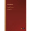 Rhoda Fleming: in large print - Paperback