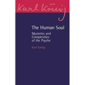 The Human Soul: Mysteries and Complexities of the Psyche - Paperback