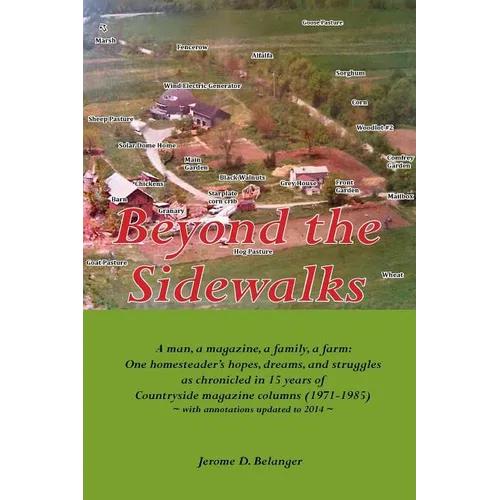 Beyond the Sidewalks - Paperback