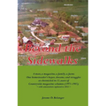 Beyond the Sidewalks - Paperback
