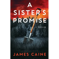 A Sister's Promise: A Thriller - Paperback