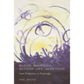 Blogs, Wikipedia, Second Life, and Beyond: From Production to Produsage - Paperback