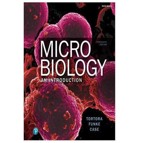 Microbiology - Paperback