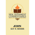John: A Commentary of the Gospel According to John - Paperback