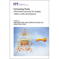Fortressing Pixels: Information Security for Images, Videos, Audio and Beyond - Hardcover