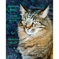 Newton Stop! - Paperback