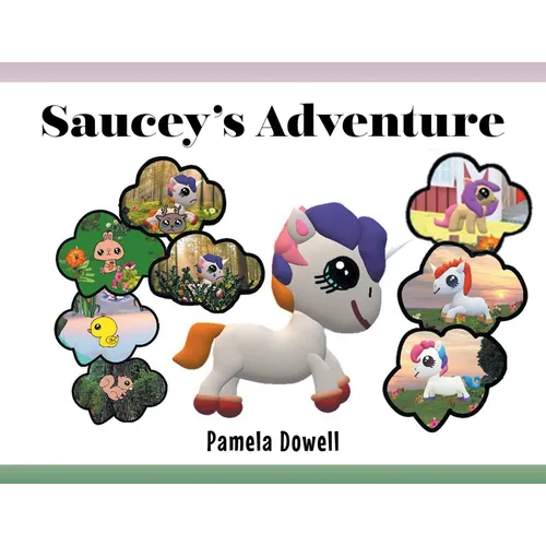 Saucey's Adventure - Paperback