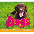Dogs - Library Binding
