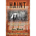 Haint: A Tale of Extraterrestrial Intervention and Love Across Time and Space - Paperback