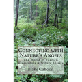 Connecting with Nature's Angels: The World of Faeries, Elementals & Nature Spirits - Paperback