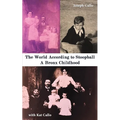 The World According to Stoopball - Paperback