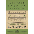 Breeds of Duck - A Large Collection of Articles on Mallards, the Mandarin, the Aylesbury, the Muscovy and Many Other Breeds of Duck - Paperback