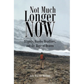 Not Much Longer Now: Tragedy, Murder Headlines, and the Hope of Heaven - Paperback