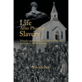 Life After Physical Slavery: Yolanda Explains Life After Physical Slavery and How It Affects Us Today. - Paperback