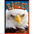 Eagles - Library Binding