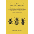 A. & M. College Apiary - Together with Practical Suggestions in Modern Methods of Bee Keeping as Applied to Texas Conditions - Paperback