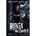 Broken Wings: A Dark High School Romance - Paperback