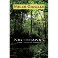 Nighthawks: Queer Love in the Darkness - Paperback