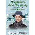 Benjamin's New Beginning - Paperback