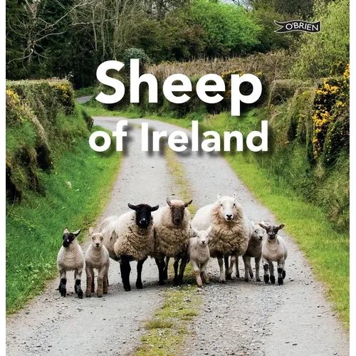 Sheep of Ireland - Hardcover