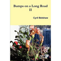 Bumps on a Long Road Volume II - Paperback