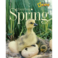 Everything Spring - Paperback