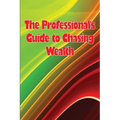 The Professional's Guide to Chasing Wealth: What You Should Understand Before Pursuing Wealth - Paperback