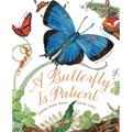 A Butterfly Is Patient: (Nature Books for Kids, Children's Books Ages 3-5, Award Winning Children's Books) - Paperback