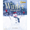 Winter Wonderland - Paperback