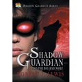 Shadow Guardian and the Big Bad Wolf - Hardcover