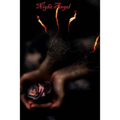 Night Angel: Book One in the Angel's Trilogy - Paperback