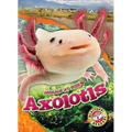 Axolotls - Library Binding
