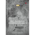 Sai Satcharita: Commentaries - Paperback
