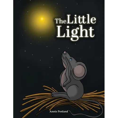 The Little Light - Paperback