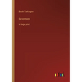 Seventeen: in large print - Paperback