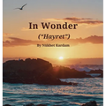 In Wonder ("Hayret") - Hardcover