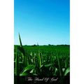 The Hand Of God: A Theology For The People - Paperback