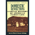Domestic Revolutions: A Social History of American Family Life - Paperback