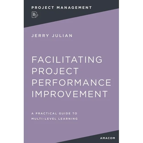 Facilitating Project Performance Improvement: A Practical Guide to Multi-Level Learning - Paperback