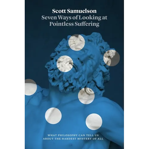 Seven Ways of Looking at Pointless Suffering: What Philosophy Can Tell Us about the Hardest Mystery of All - Paperback