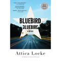 Bluebird, Bluebird - Paperback
