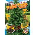 See a Pine Tree Grow - Paperback