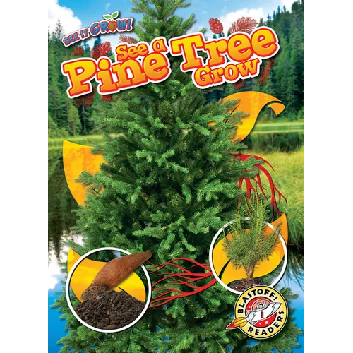 See a Pine Tree Grow - Paperback