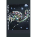The Evolution of Confusion ...4 of 5 (Where From Here?) - Paperback