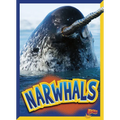 Narwhals - Paperback