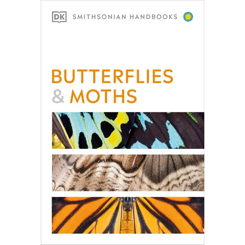 Butterflies and Moths - Paperback